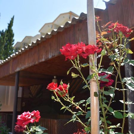 Terko Hotel Pansiyon Beldibi  Exterior photo